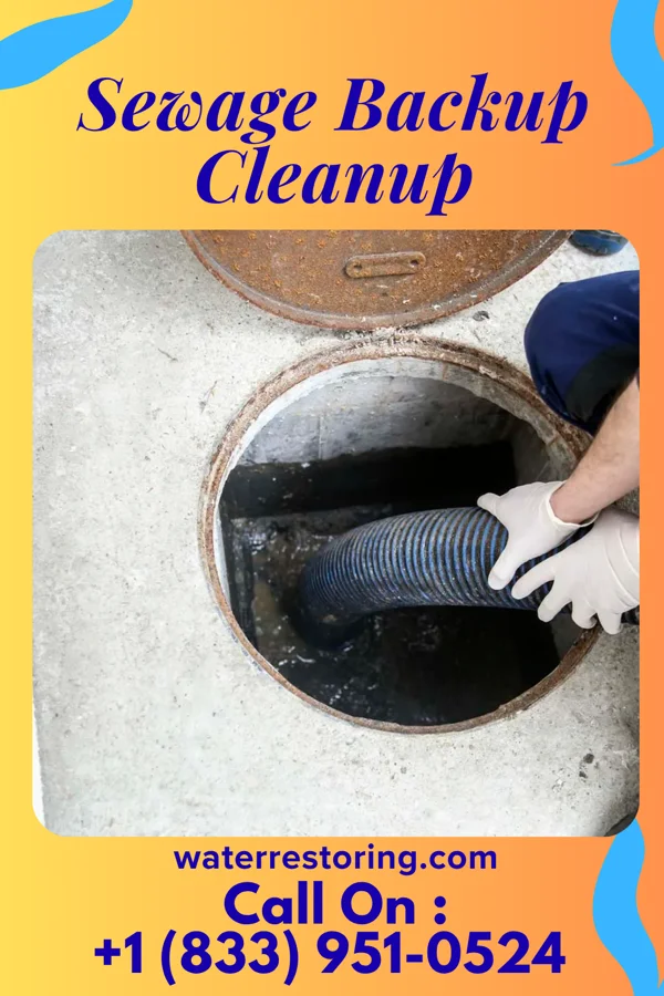 Sewage Backup Cleanup in Mechanicville, NY
